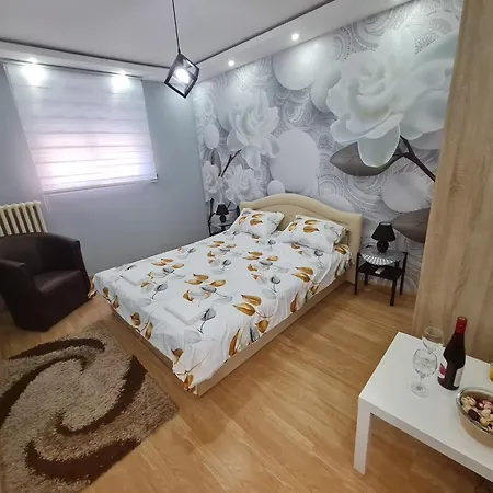 Apartment Stan Na Dan Pozarevac